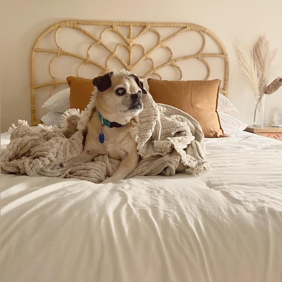 KATY’S LIVE! Like to be notified :) - Picture 3 of 7